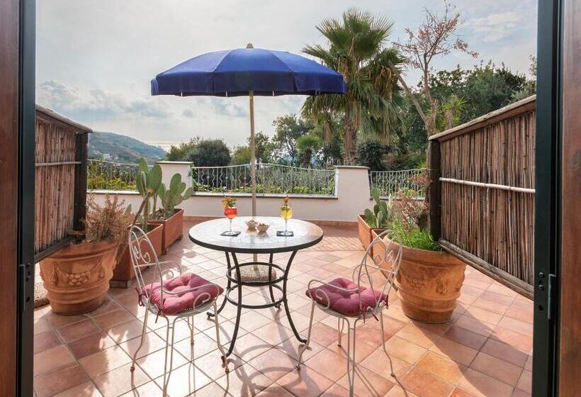 Номер Стандарт, Belvedere