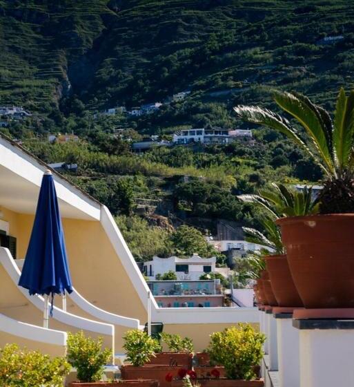 Номер Стандарт, Belvedere