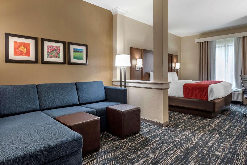 Camera Standard, Iq Hotel Roma
