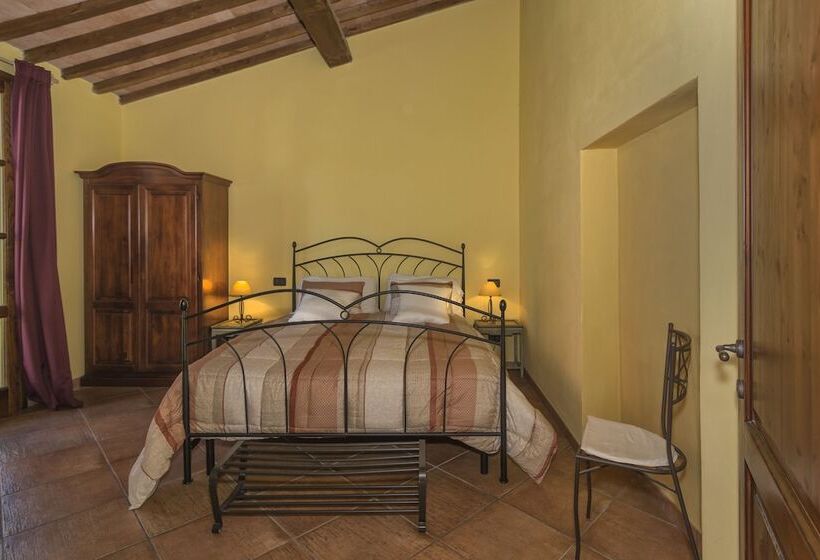 标准间, Pisa Holidays