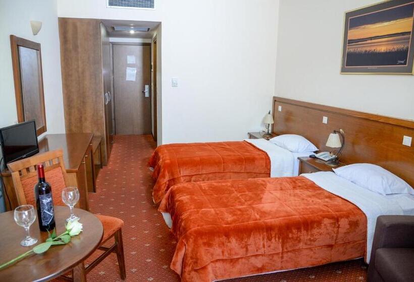 חדר סטנדרט, Arta Palace