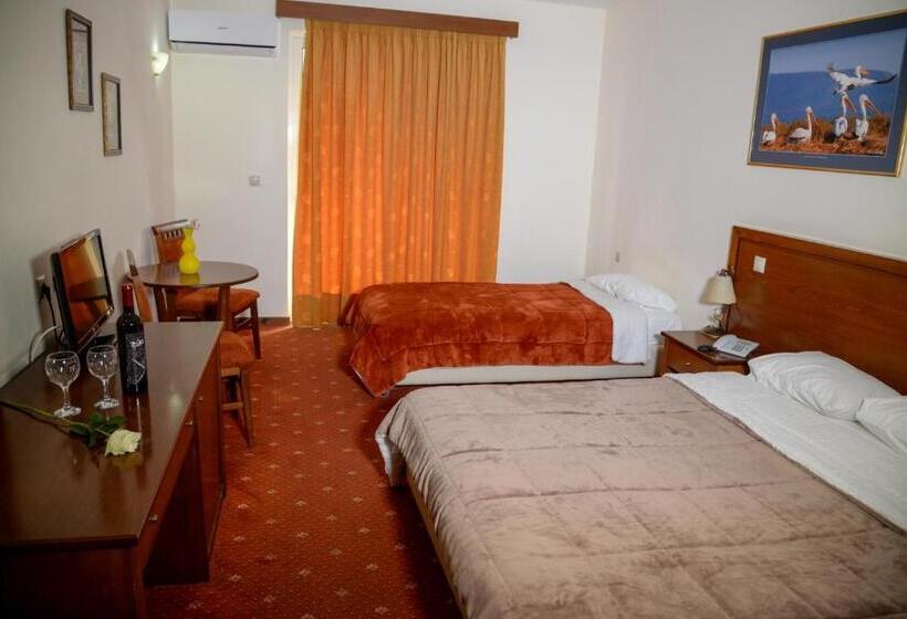 חדר סטנדרט, Arta Palace