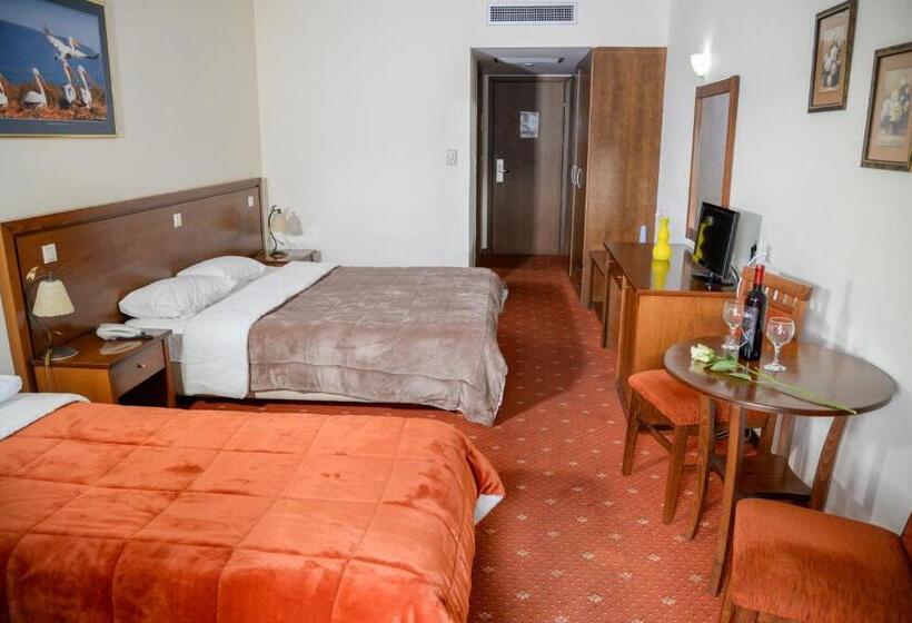 חדר סטנדרט לשלושה, Arta Palace