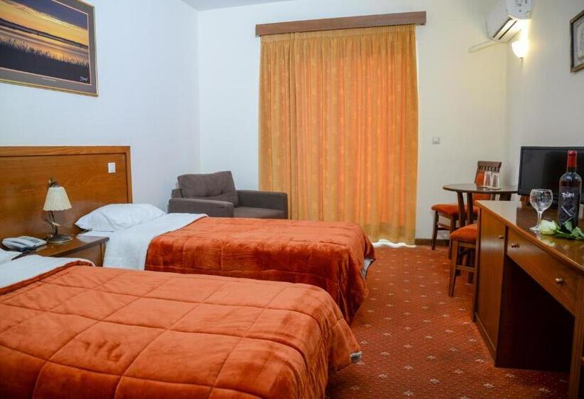 חדר סטנדרט יחיד, Arta Palace