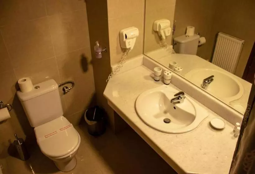 スタンダードシングルルーム, Arta Palace