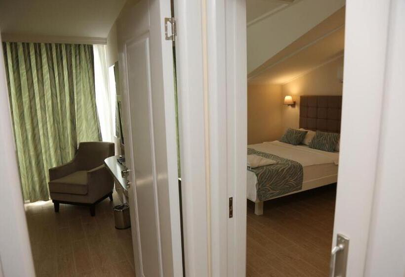 غرفة عائلية, Asli