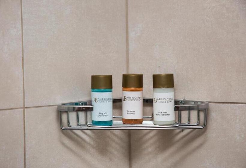 غرفة قياسية إطلالة جانبية علي البحر, Asli