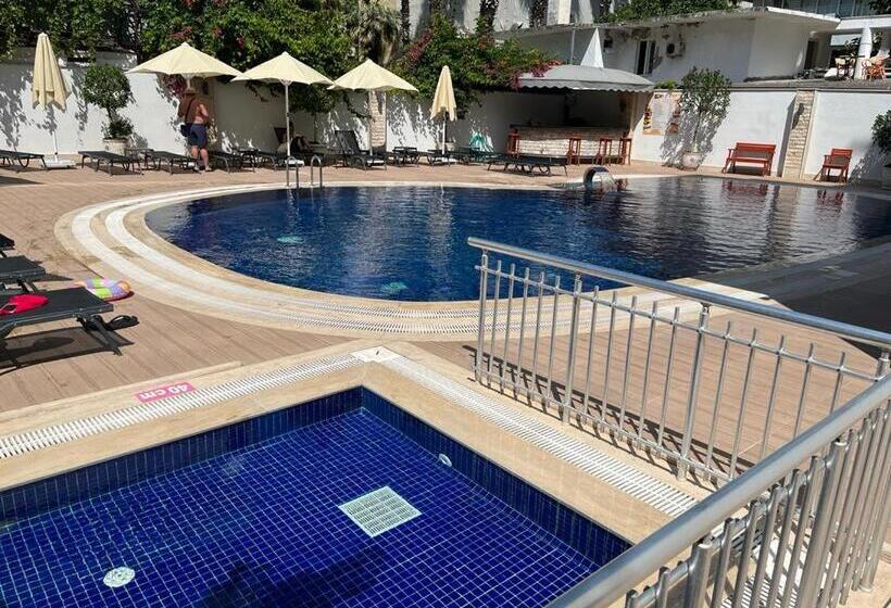 غرفة قياسية داخلية, Asli