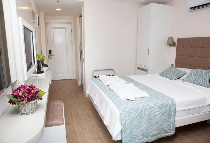 غرفة قياسية داخلية, Asli