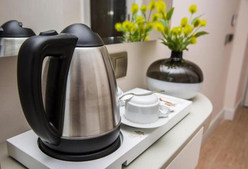 غرفة قياسية داخلية, Asli