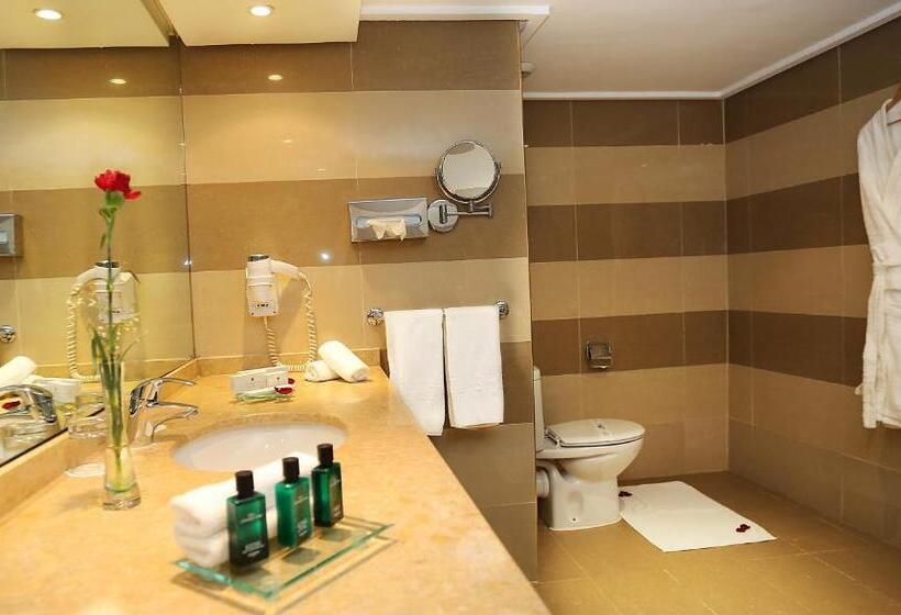 غرفة قياسية فردية, Terminus City Center Oujda