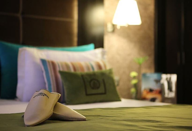 جناح جونيور, Terminus City Center Oujda