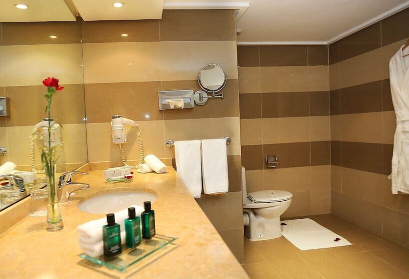 غرفة قياسية, Terminus City Center Oujda