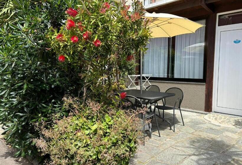 家庭间, Delle Rose