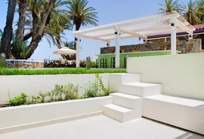 スタンダードルーム, Palm Beach