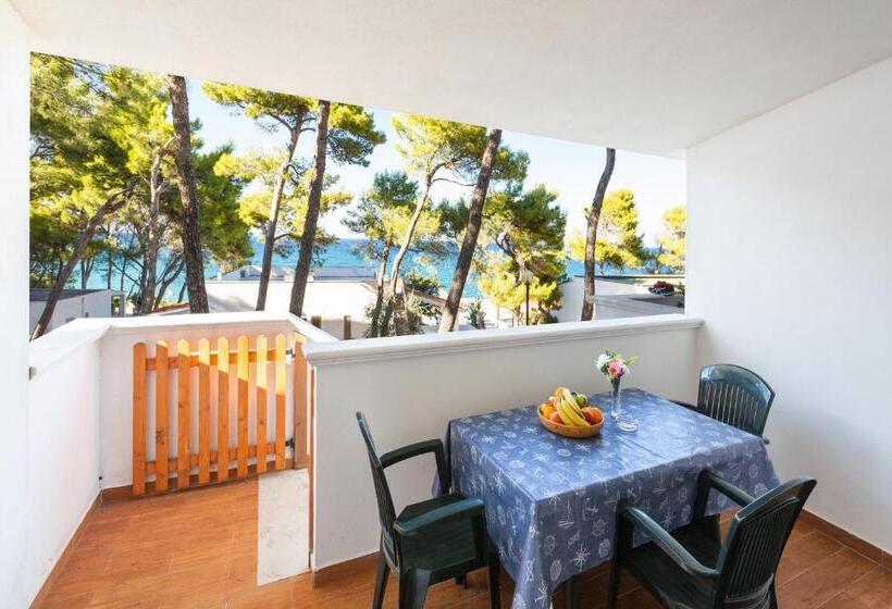 דירת שני חדרים, Sfinal Residence