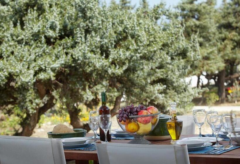 Вилла Superior 1 Спальня, Kedros Villas