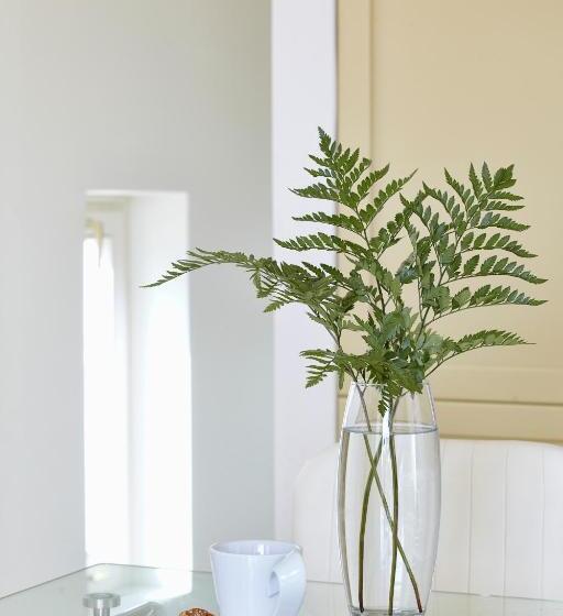 Вилла Superior 1 Спальня, Kedros Villas