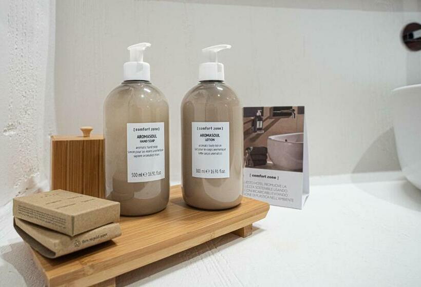 Номер Стандарт, Sant Efis