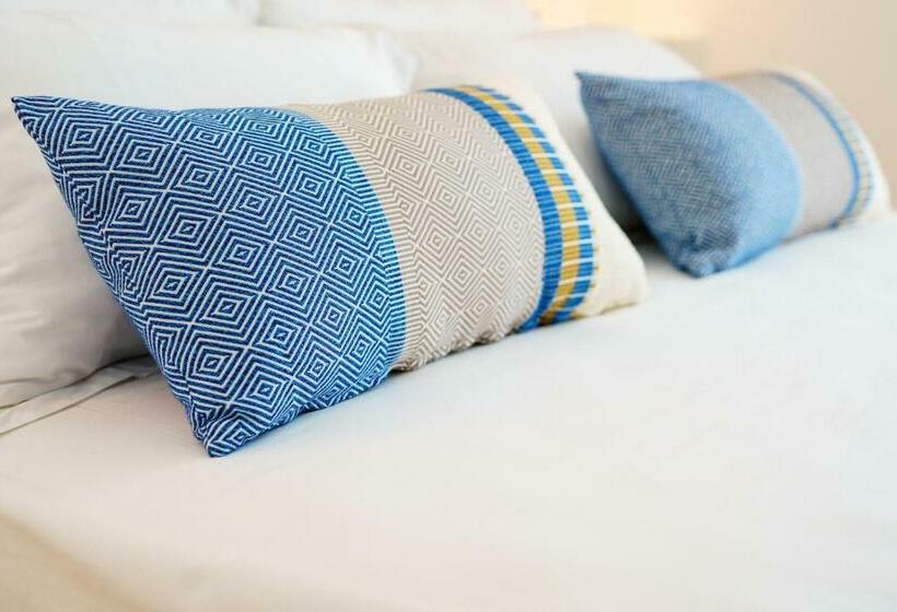 Номер Стандарт, Sant Efis