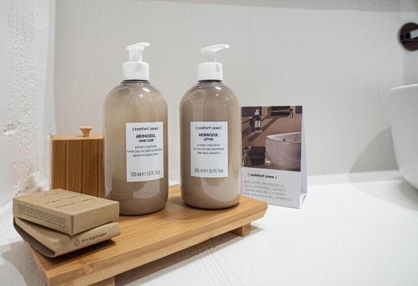 Номер Стандарт Вид на Сад, Sant Efis