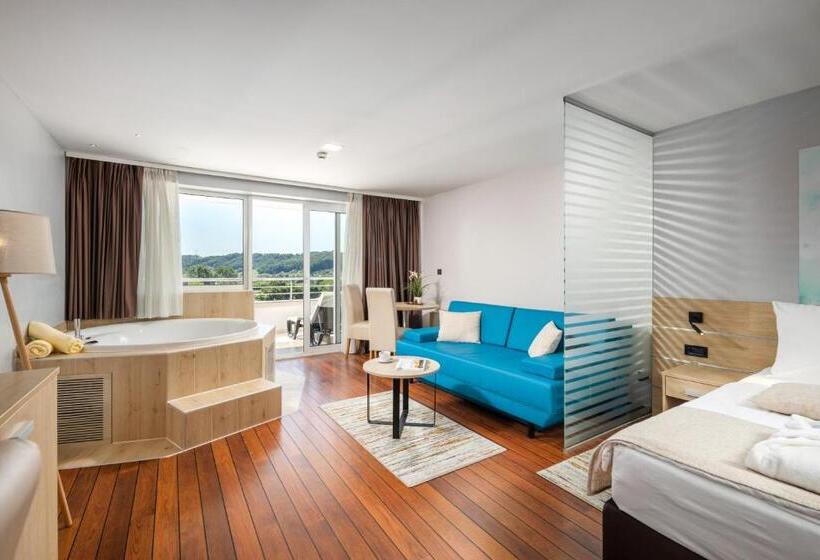 Номер Стандарт с Гидромассажем, Wellness Hotel Villa Magdalena
