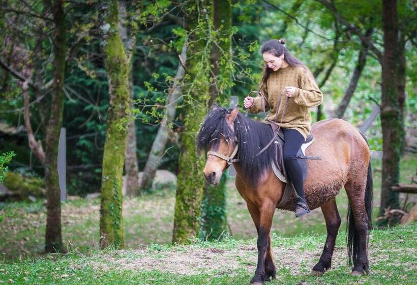 דירת שלושה חדרים, Residência Iris