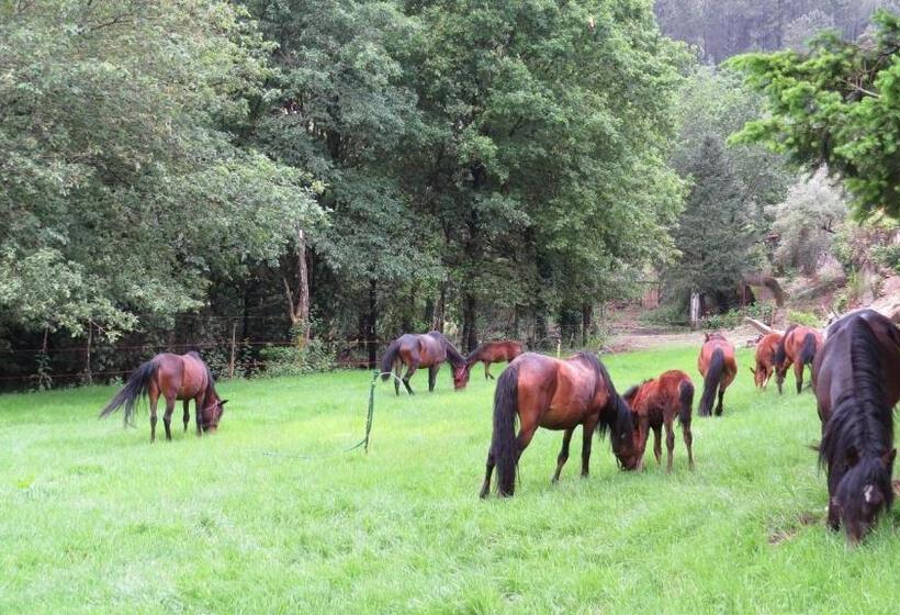 דירת שלושה חדרים, Residência Iris