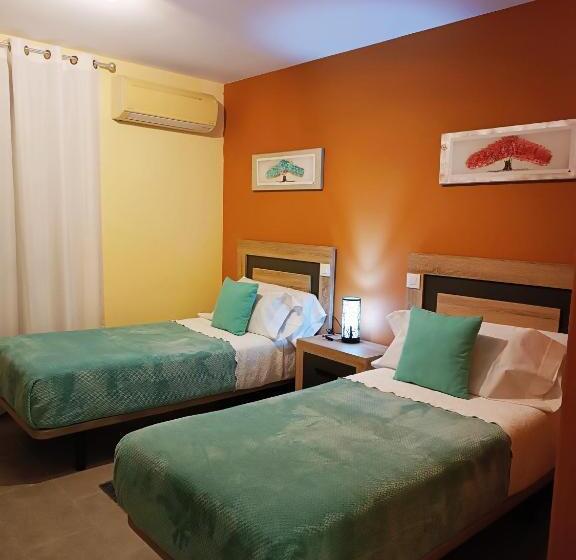 חדר סטנדרט, Alma Rosa