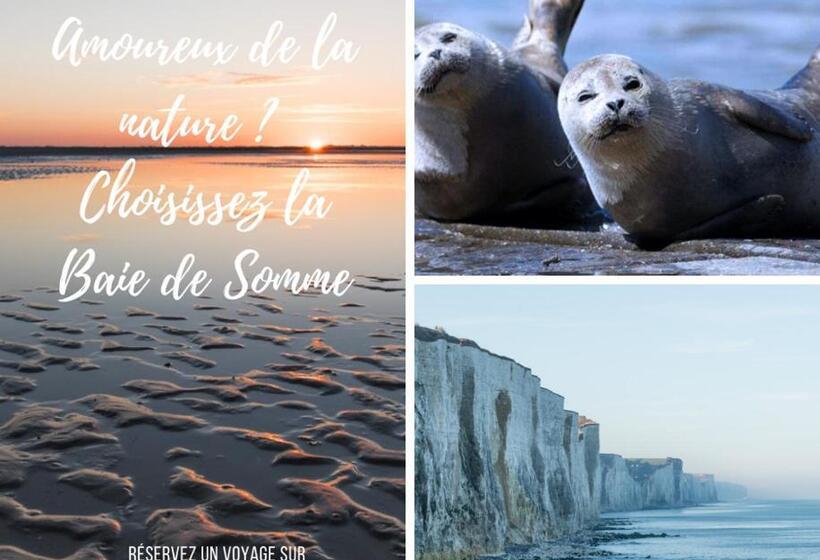 Студио Стандарт с Террасой, Domaine De La Mer