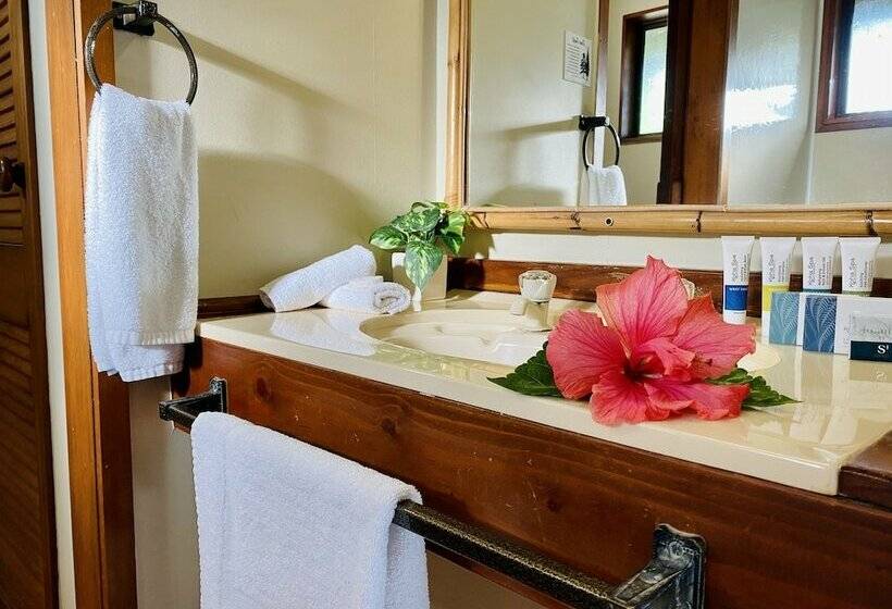 קוטג' דלוקס, Pacific Harbour Villas