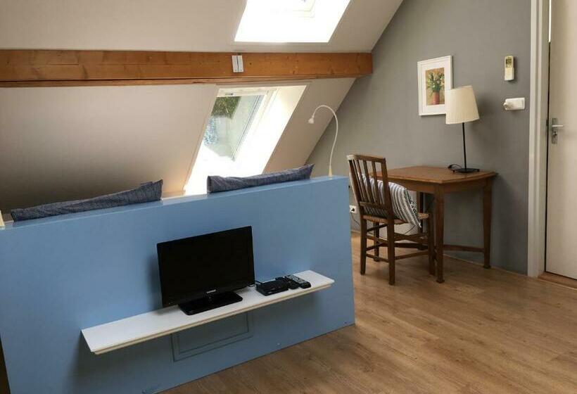 带大床的豪华间, Bed & Breakfast Ter Borg