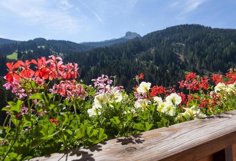 침실 1개 발코니 아파트, Alpenspitz Appartements   Garni   B&b