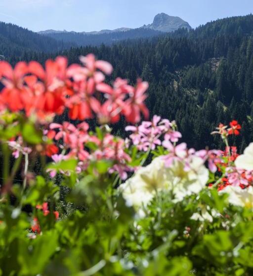 带1个卧室的带阳台的公寓, Alpenspitz Appartements   Garni   B&b