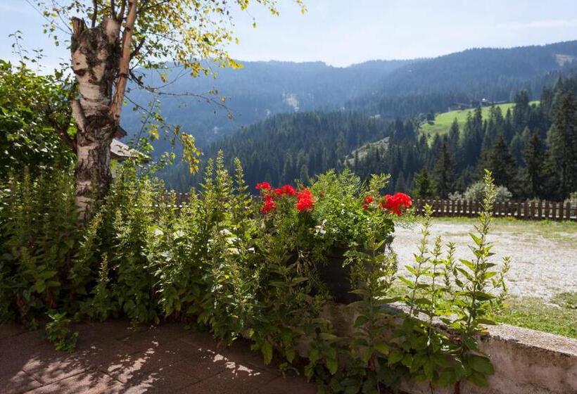 침실 1개 발코니 아파트, Alpenspitz Appartements   Garni   B&b