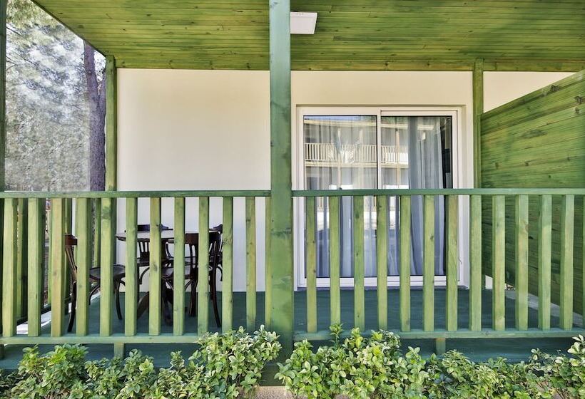 패밀리 룸 (2층침대), Crystal Flora Beach Resort - Ultimate All Inclusive