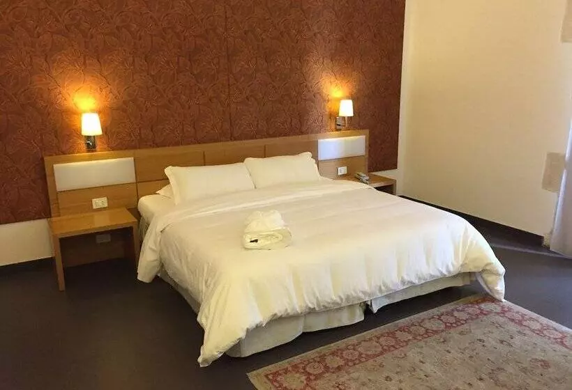 اتاق استاندارد, Grande Albergo Alfeo