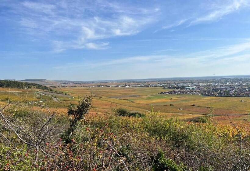 스탠다드 룸, Maison Cabotte