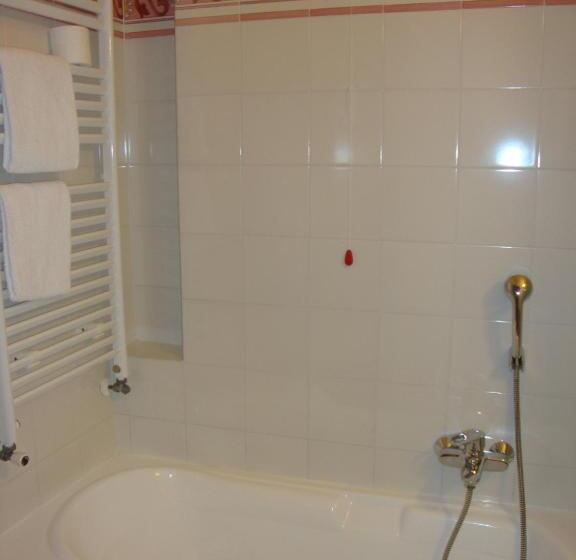 Superior room with lake view, Miramonti