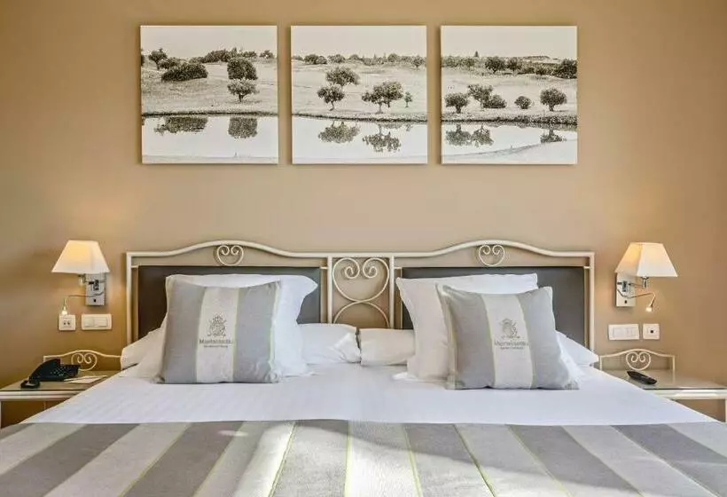 اتاق سوپریور, Barcelo Jerez Montecastillo
