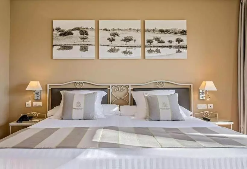 اتاق سوپریور, Barcelo Jerez Montecastillo
