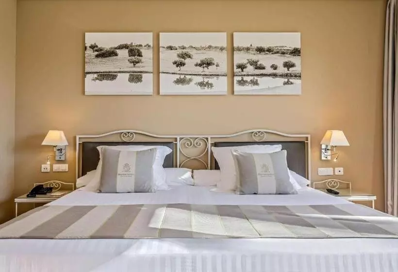 اتاق استاندارد, Barcelo Jerez Montecastillo