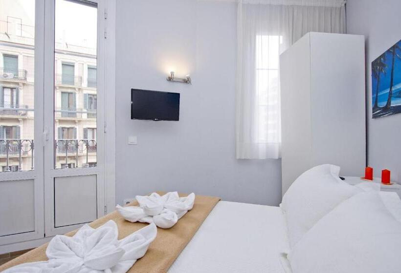 Номер Стандарт, Barcelona City