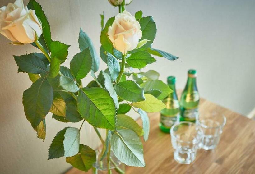 חדר סטנדרט, Batory