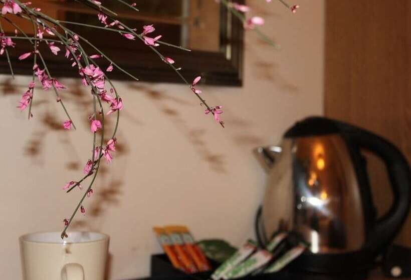 Номер Стандарт, City Inn Russell  Square