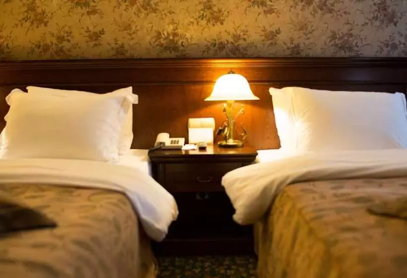 デラックスルーム, Germir Palas Hotel Special Class
