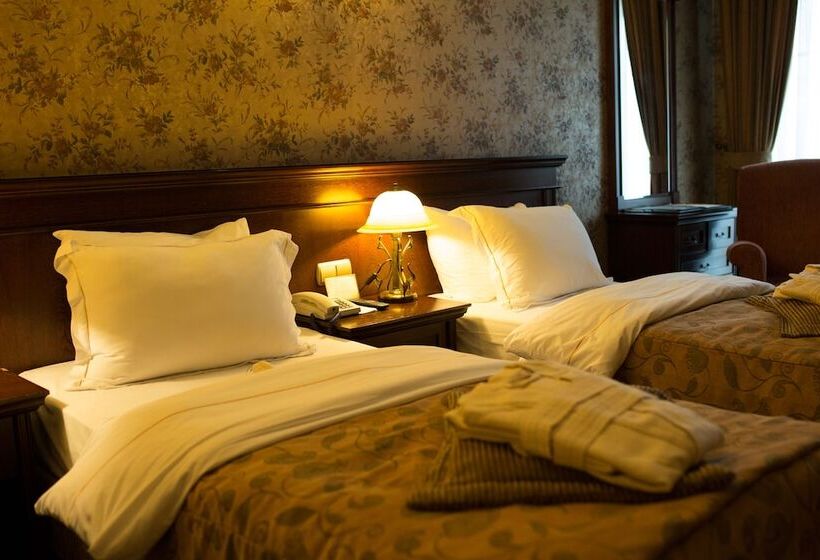 パークビューのデラックスルーム, Germir Palas Hotel   Special Class