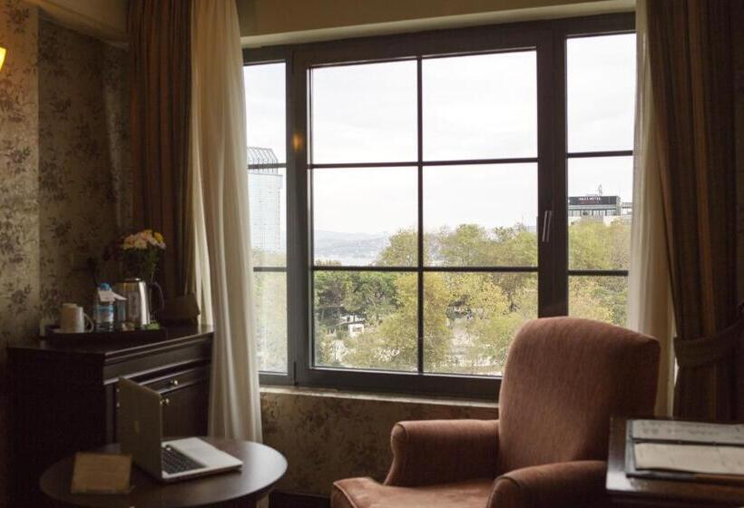 اتاق دلوکس با چشم‌انداز پارک, Germir Palas Hotel   Special Class