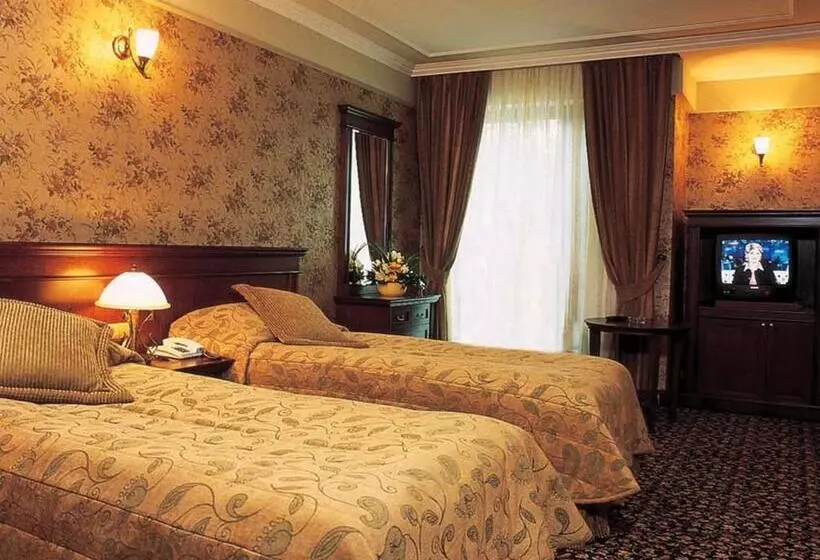 パークビューのデラックスルーム, Germir Palas Hotel Special Class