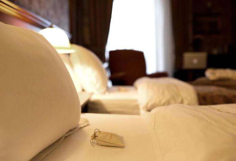 اتاق دلوکس با چشم‌انداز پارک, Germir Palas Hotel   Special Class